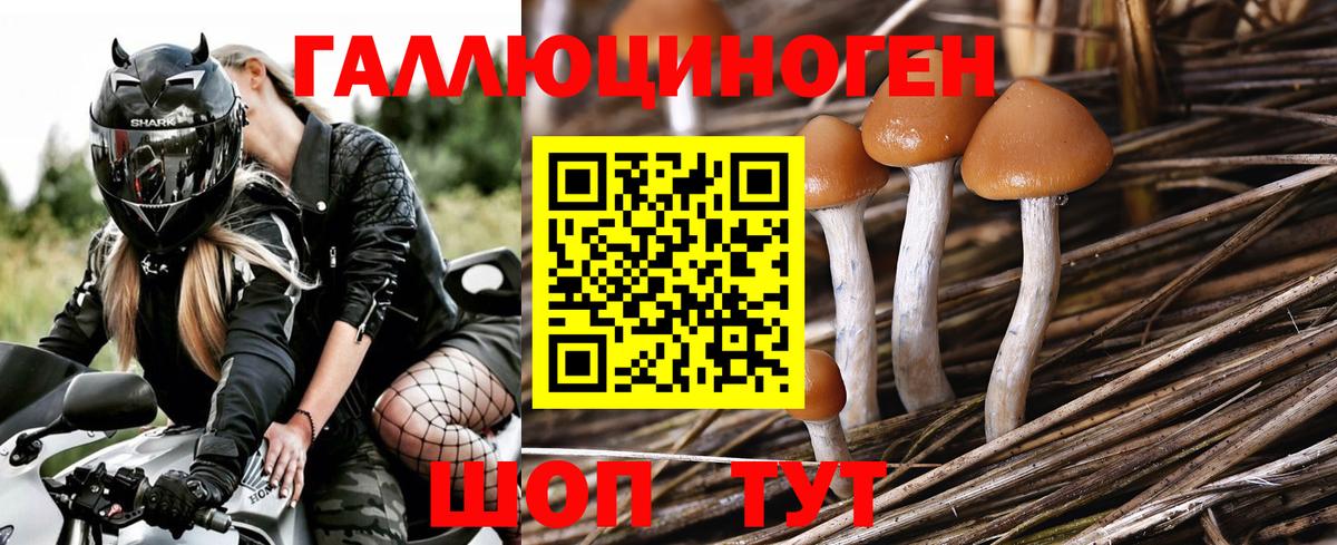 Галлюциногенные грибы мицелий Нарткала