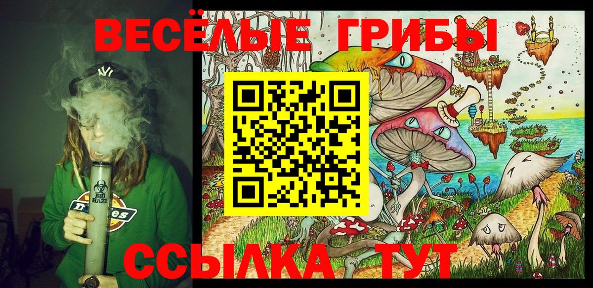 Нарткала  закладки  Вход с VPN  Галлюциногенные грибы ЛСД 
